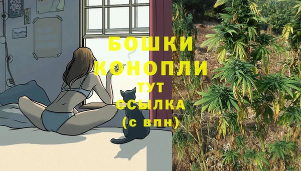 Альфа ПВП Богородск