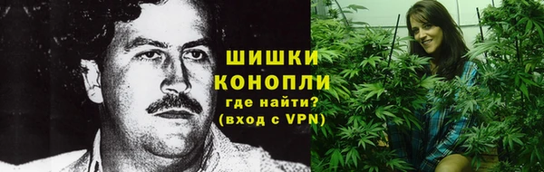 Альфа ПВП Богородск