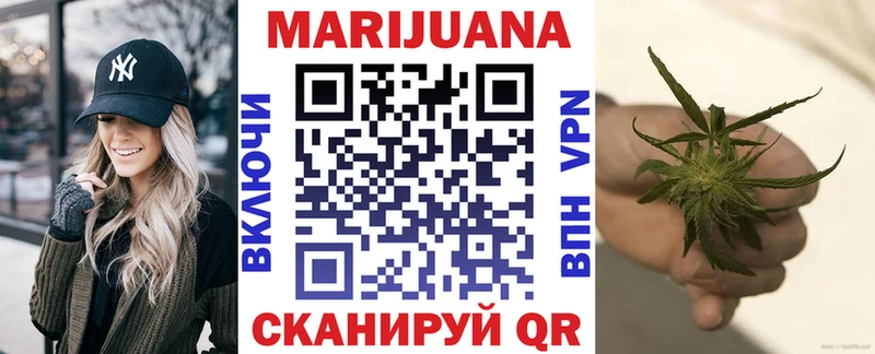 Конопля гибрид Новый Оскол