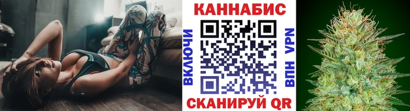 Канабис тримм купить наркотики цена Новый Оскол
